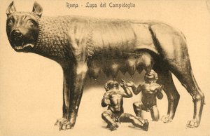 Rome, louve du Capitole